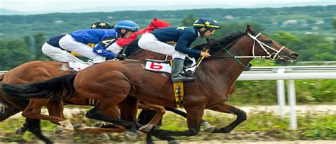 sg pool horse racing